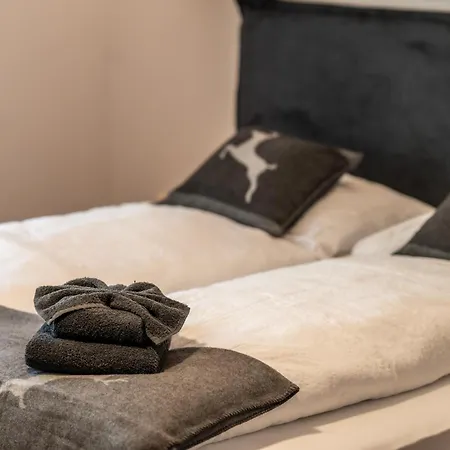 Apartmán Mira, Zermatt